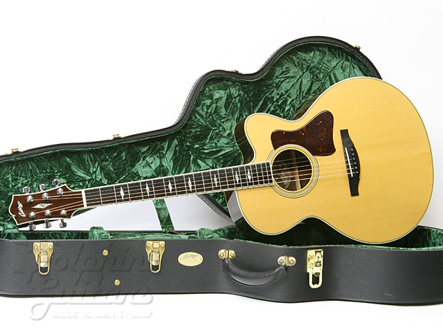 SJ Cutaway Adirondack