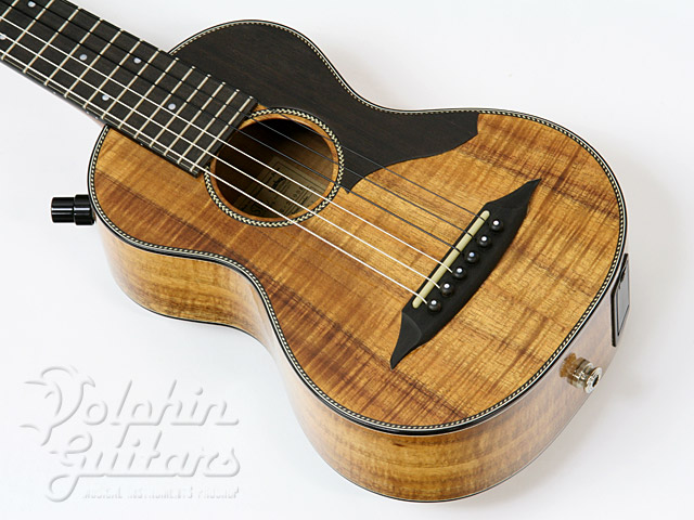 ギター SH GUITARS UG-301 SH GUITARS top page | Deviser ｜株式会社