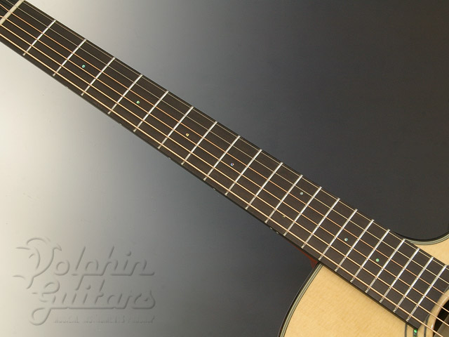 FURCH S23-SCCT (Cocobolo)|ドルフィンギターズ