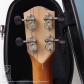 VC (Madagascar Rosewood)5