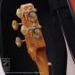 ALIEN (Koa & African Blackwood)5