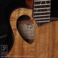 ALIEN (Koa & African Blackwood)12