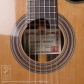 NR-3 杉 CW 640mm (Nylon Strings)8