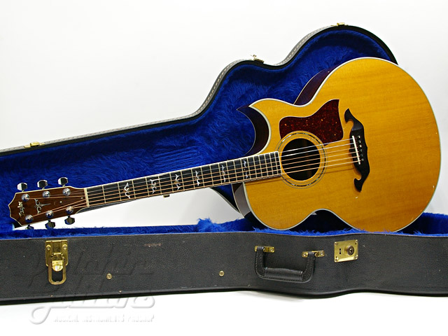 TAYLOR 815C|ドルフィンギターズ