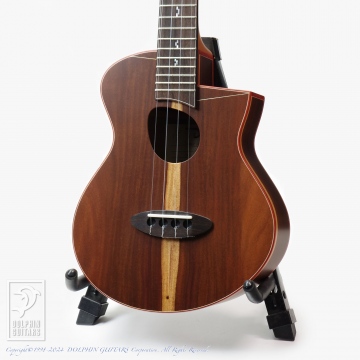 145 Sumerian (Hawaiian Milo)