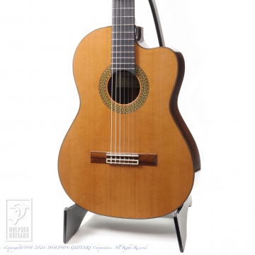 350 HM-2 Cutaway 杉 (Nylon Strings)