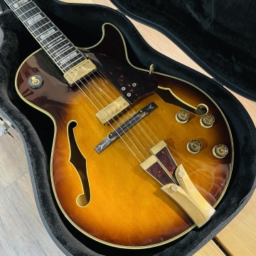 291 GB10 (Brown Sunburst)
