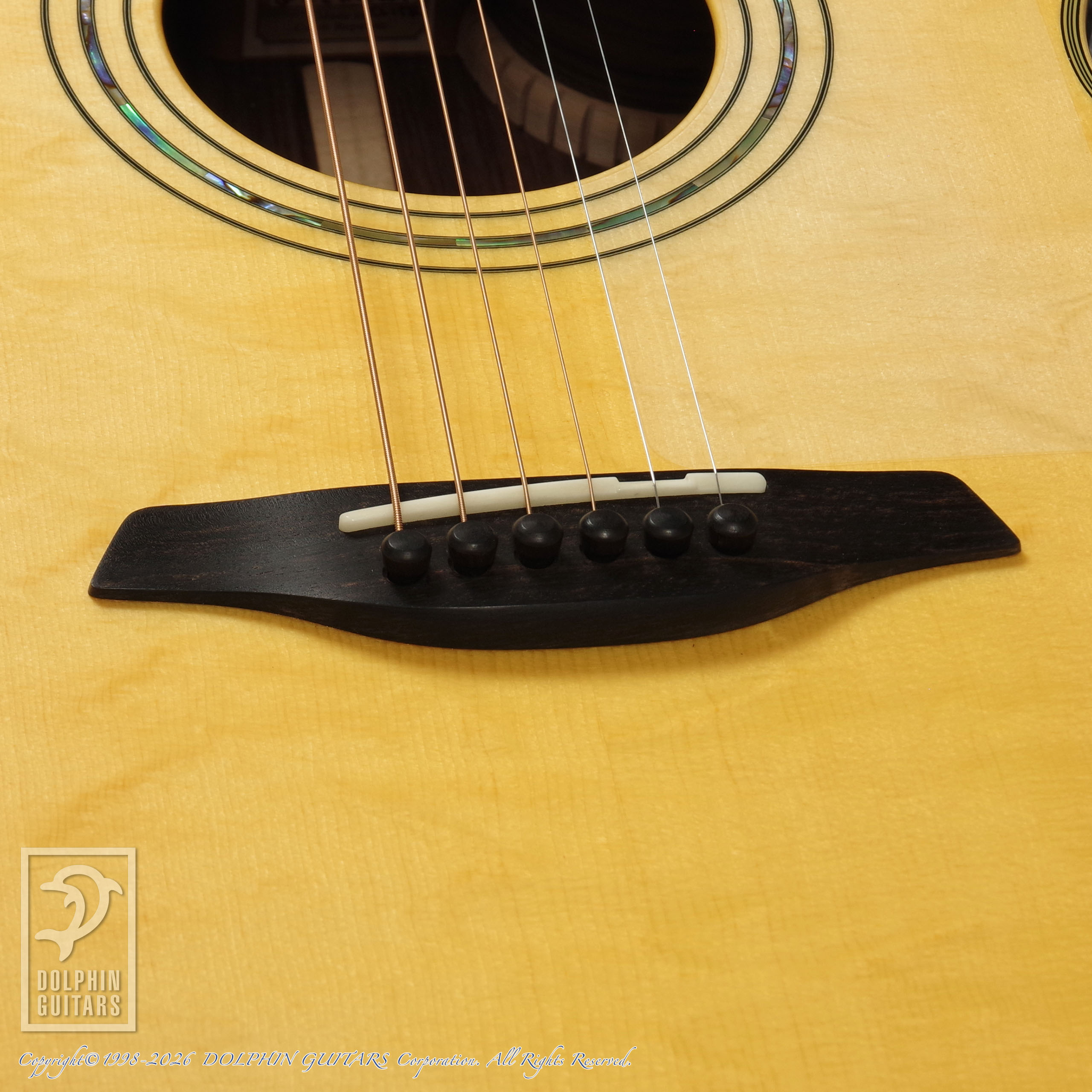 FURCH G23-LRCT Elite (Alpine Spruce)|ドルフィンギターズ