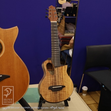 SEAGULL Grand Sunburst GT Q1T|ドルフィンギターズ