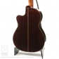 NR-3 杉 CW 630mm (Nylon Strings)2