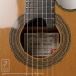 NR-3 杉 CW 630mm (Nylon Strings)12