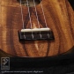 PS Koa Spalted Maple (Pineapple Ukulele)9