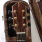 Model GA-Cutaway5