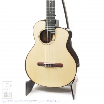 298 aNN-MN214E (Nylon Strings)