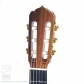 Solo Classico S (Nylon Strings)6
