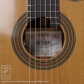 Tsuji S-CW Cedar (Nylon Strings)10