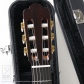 Custom S Crossover (Nylon Strings)5
