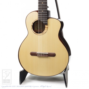 298 aNN-MN214E (Nylon Strings)