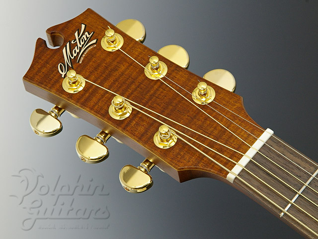 MATON EBG808MH (秦 基博シグネチャー)|ドルフィンギターズ