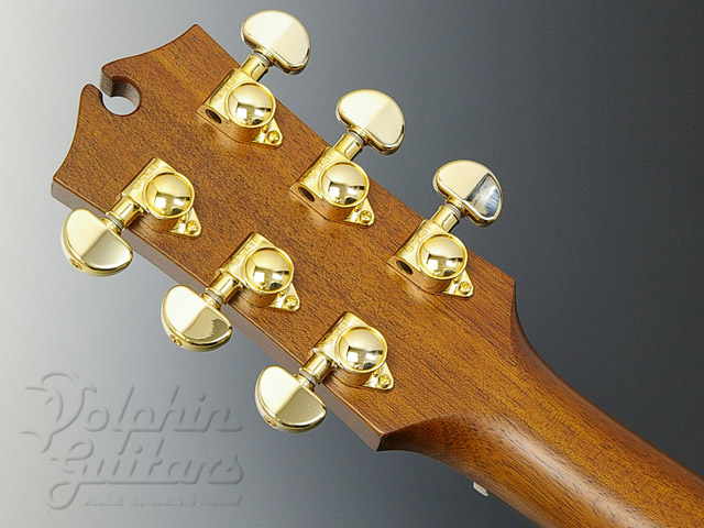 MATON EBG808MH (秦 基博シグネチャー)|ドルフィンギターズ