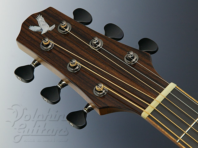 YOKOYAMA GUITARS AR-SR Custom|ドルフィンギターズ