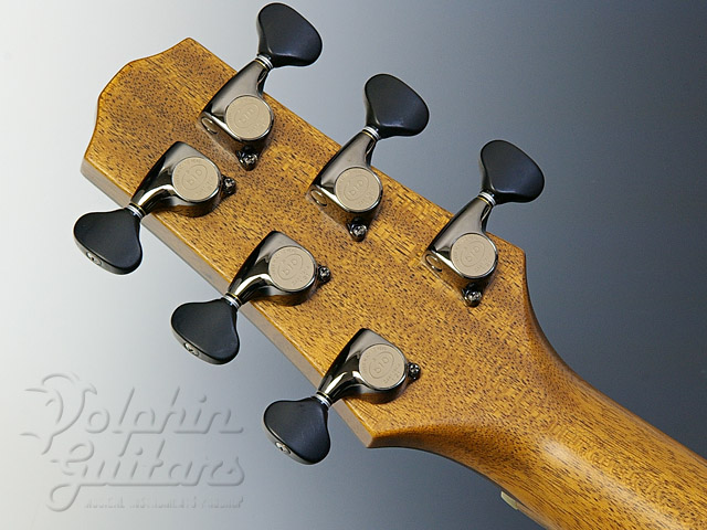 YOKOYAMA GUITARS AR-SR Custom|ドルフィンギターズ