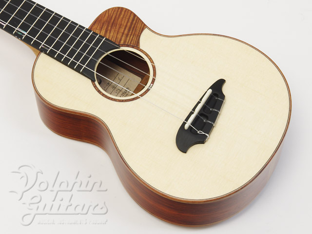 VC-CW (Spruce & Cocobolo)