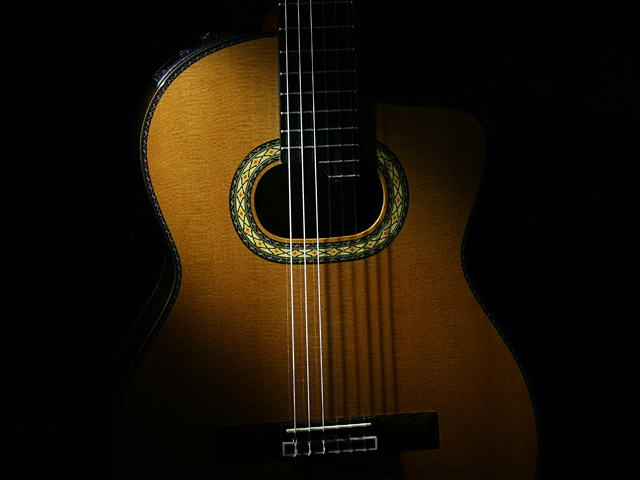 タカミネ　ＥＱ アコースティックギター TAKAMINE EH-90|ドルフィンギターズ