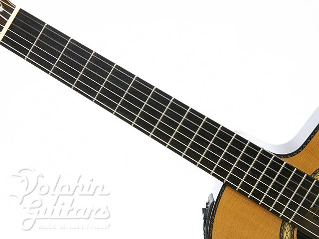 TAKAMINE EH-90|ドルフィンギターズ