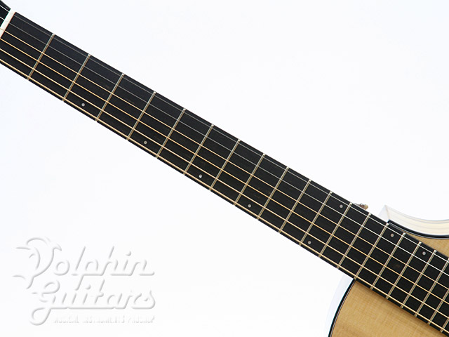 Breedlove C25/SMy（Myrtlewood）|ドルフィンギターズ