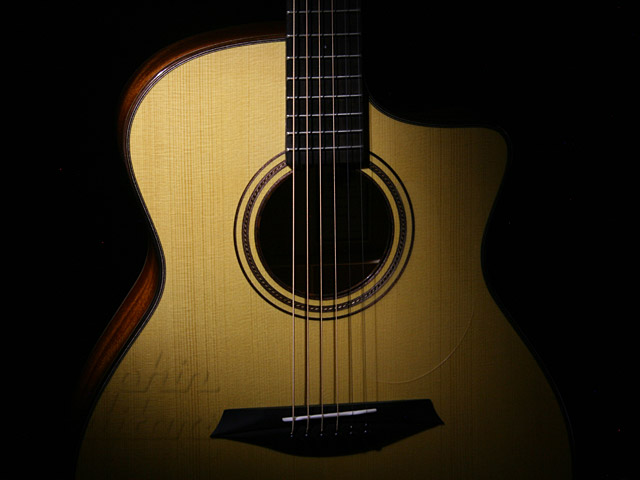 MAYSON MS1 Cutaway with L.R.Baggs element|ドルフィンギターズ