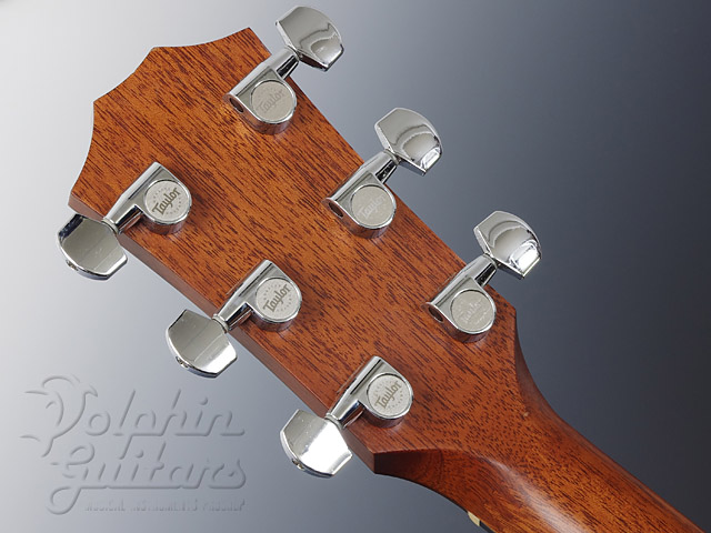 TAYLOR 314|ドルフィンギターズ