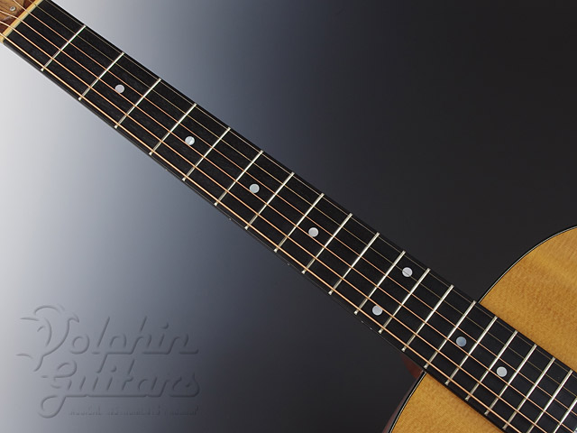 TAYLOR 314|ドルフィンギターズ