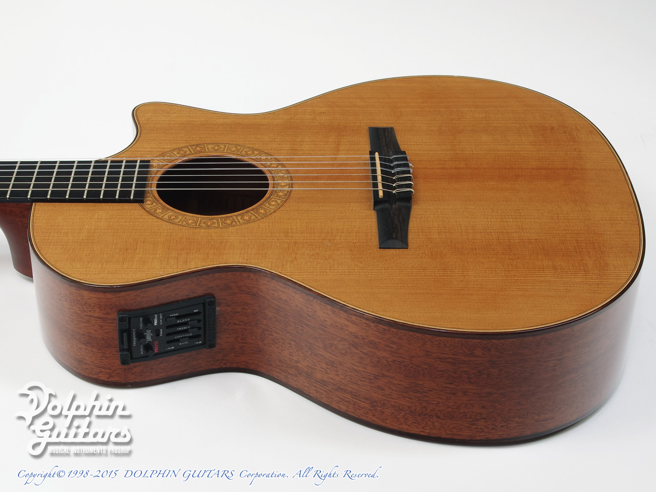 Taylor ギター TAYLOR NS54-CE|ドルフィンギターズ