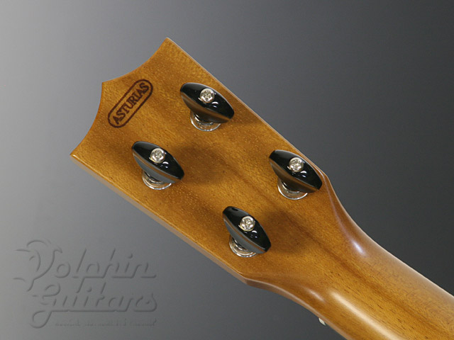 ASTURIAS Soprano Maho 17F|ドルフィンギターズ
