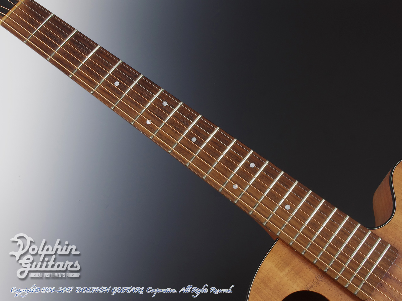 TACOMA CKK-9C (All Hawaiian Koawood)|ドルフィンギターズ