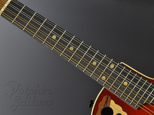 OVATION MM68|ドルフィンギターズ