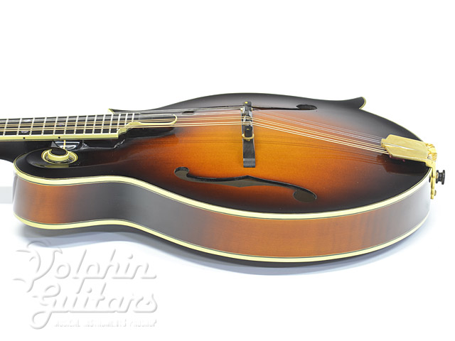 Eastman MD-815 Flat Mandolin|ドルフィンギターズ