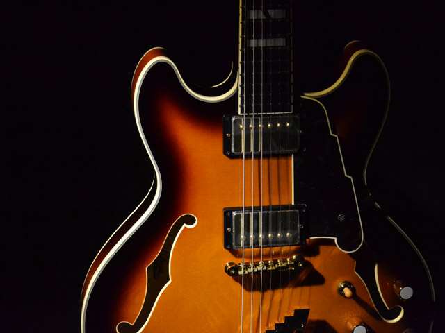 D'ANGELICO NY-DC (SB)|ドルフィンギターズ