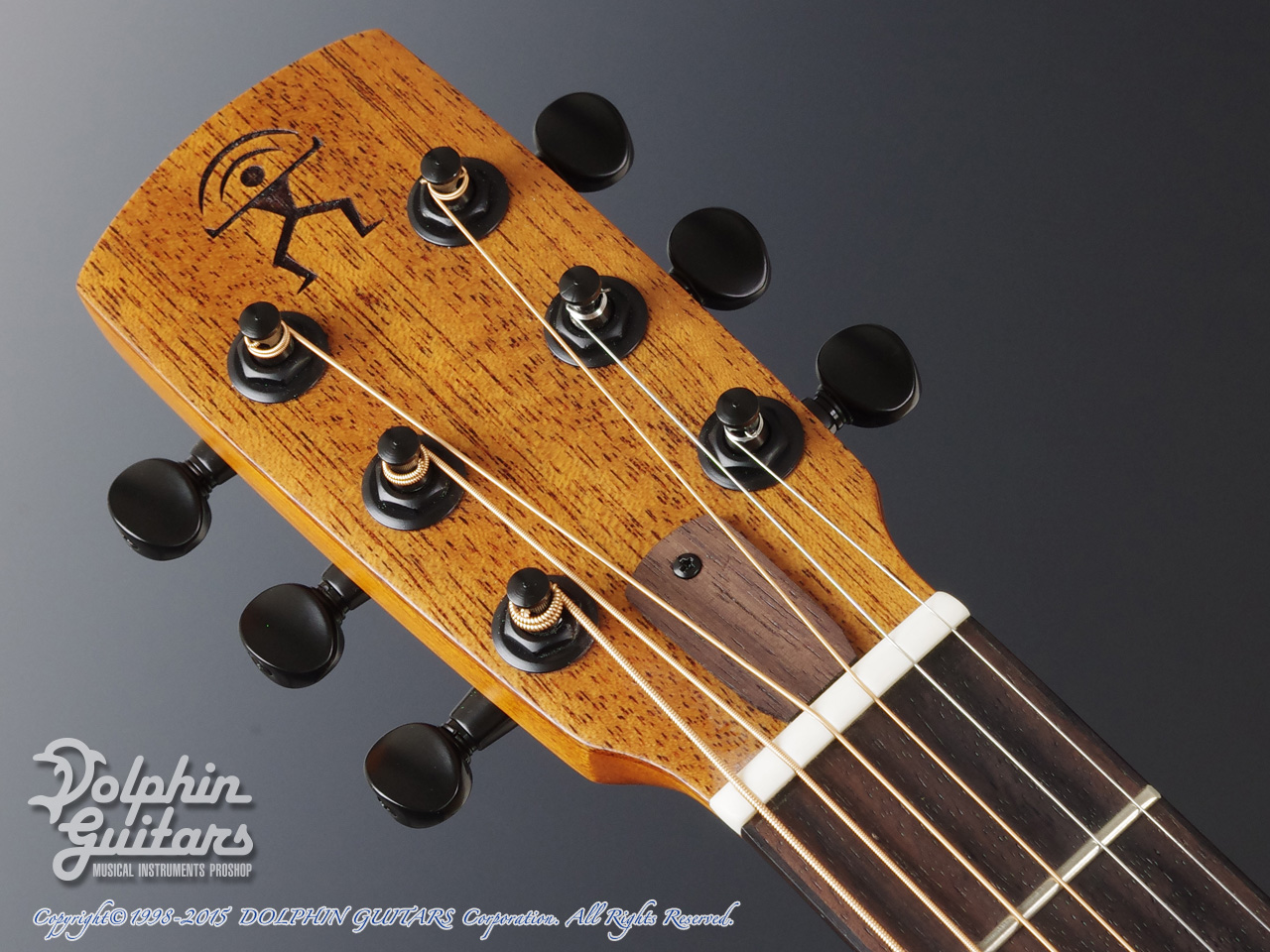 aNueNue Bird aNN-M20 (All Mahogany)|ドルフィンギターズ