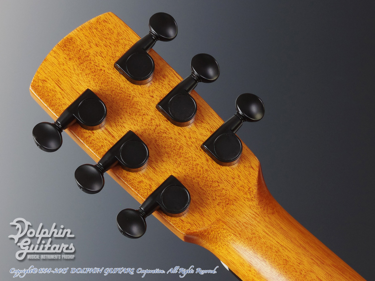 aNueNue Bird aNN-M20 (All Mahogany)|ドルフィンギターズ