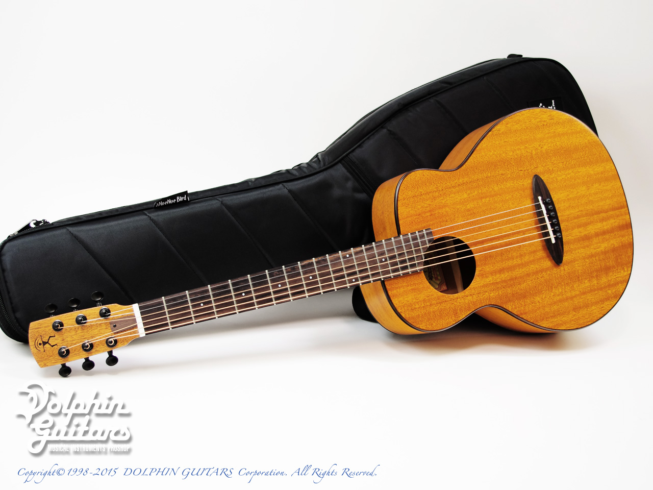 aNueNue Bird aNN-M20 (All Mahogany)|ドルフィンギターズ