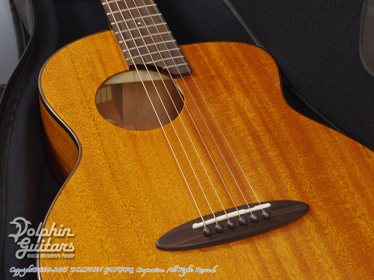 aNueNue Bird aNN-M20 (All Mahogany)|ドルフィンギターズ