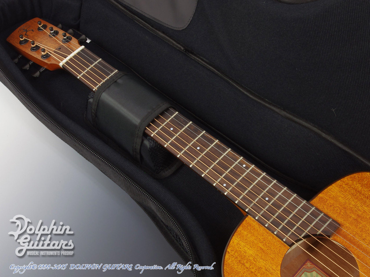 aNueNue Bird aNN-M20 (All Mahogany)|ドルフィンギターズ