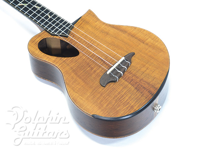 ALIEN (Koa/Madagascar Rosewood)