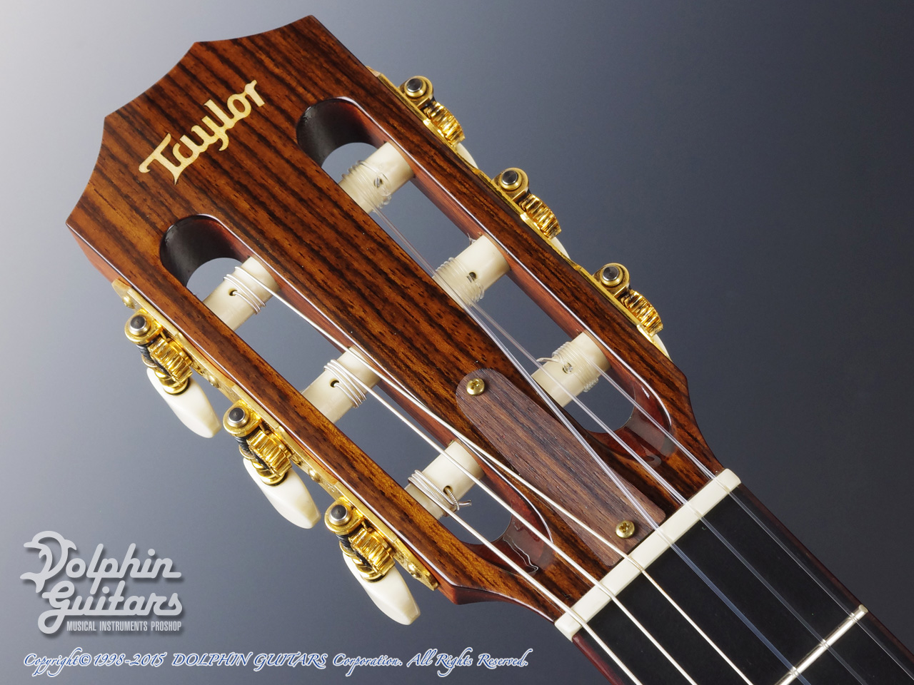 TAYLOR NS72-ce JPN LTD|ドルフィンギターズ
