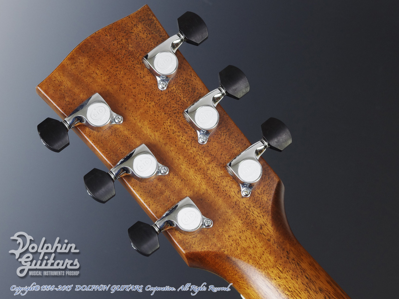 JAMES GOODALL RGCC SS (Grand Concert Cutaway)|ドルフィンギターズ