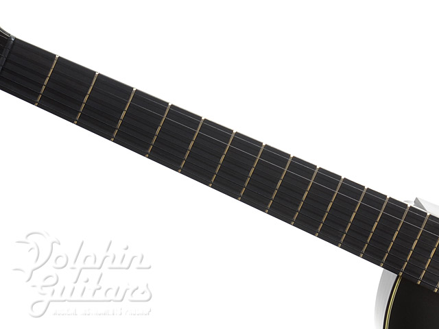 VG VG-SH-90 セミアコ エレキギター山崎まさよし 坂崎幸之助 VG VG-SH