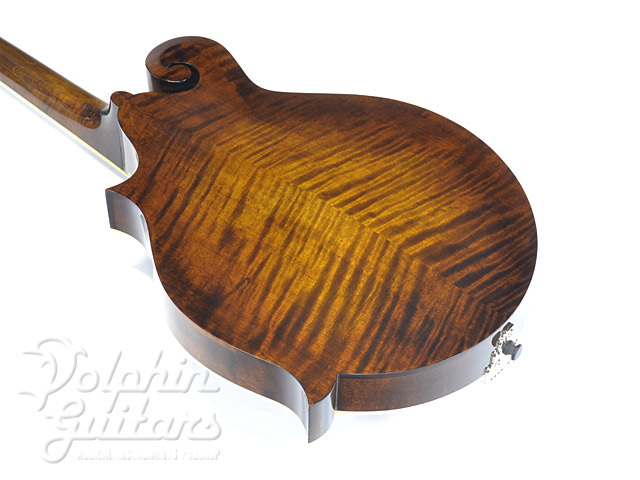 Eastman MD-515 Spirit Varnish |ドルフィンギターズ