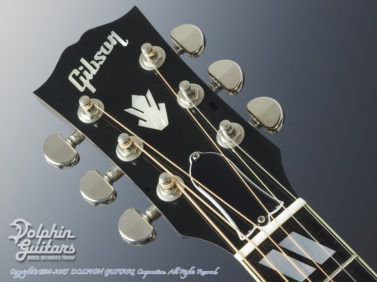 Gibson Hummingbird VS ドルフィンギターズ